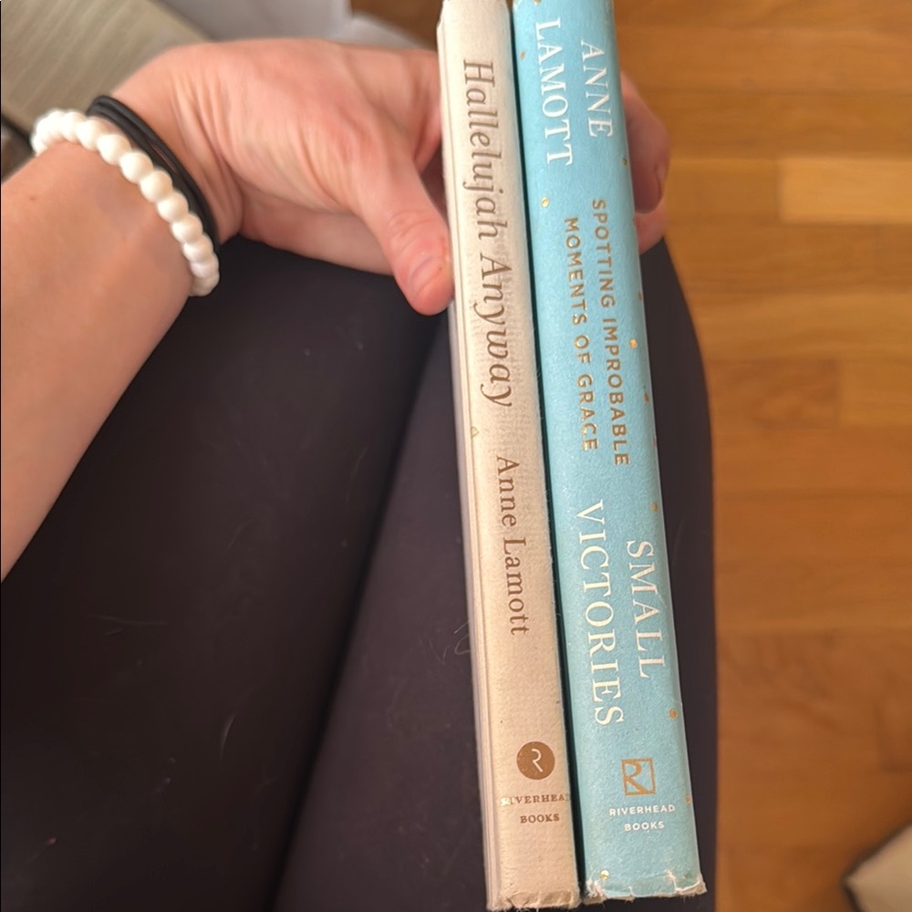 Anne Lamott Hardcover Set